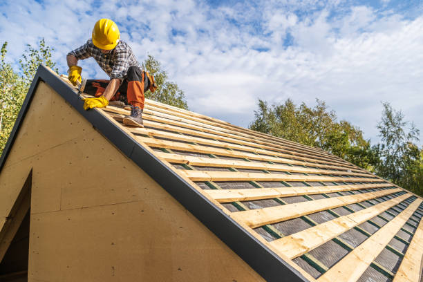 Best Roof Gutter Cleaning  in Broadmoor, CA